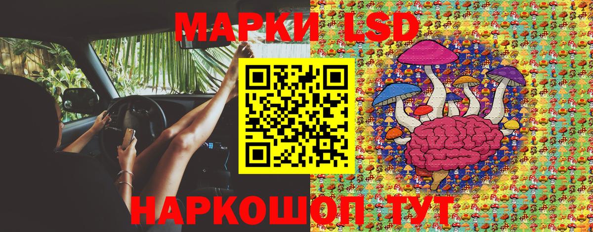 Заинск  как найти   Вход с VPN  Марки NBOMe 1,8мг 