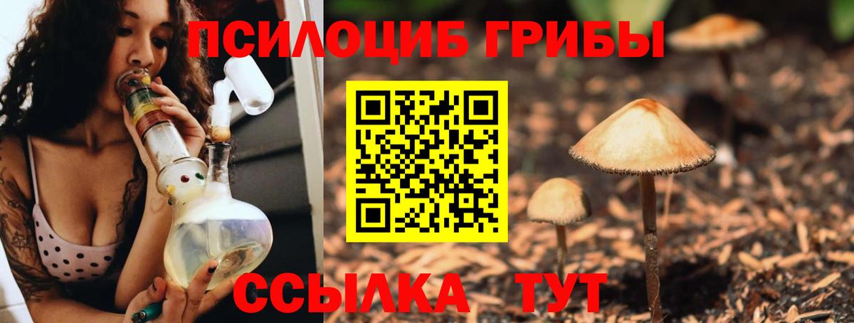 Псилоцибиновые грибы мухоморы Заинск