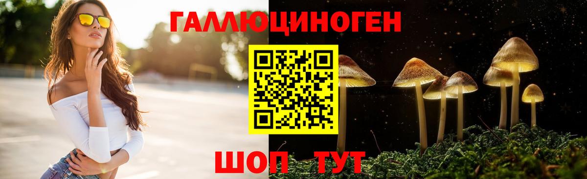 Заинск  Псилоцибиновые грибы Cubensis  Вход с VPN 